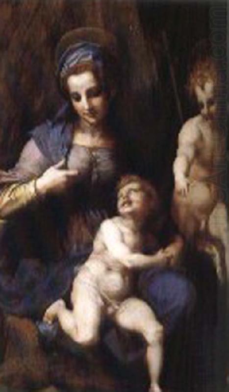 Andrea del Sarto Our Lady of St. John and the small sub china oil painting image